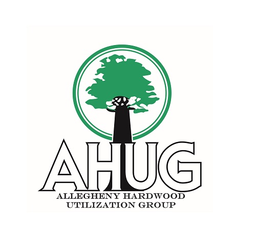 AHUG Logo 2020