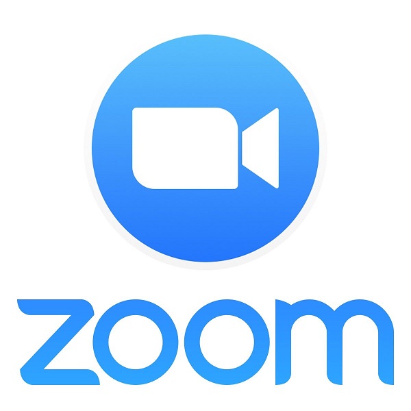 Zoom Pro Annually 2